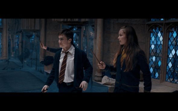 Harry Potter and the Order of the Phoenix - 870