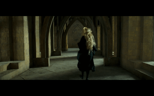 Harry Potter and the Order of the Phoenix - 873