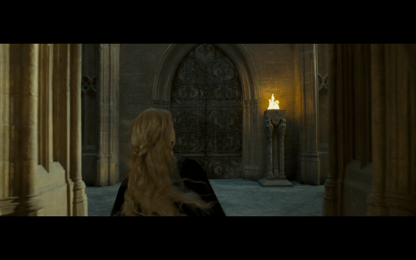 Harry Potter and the Order of the Phoenix - 874