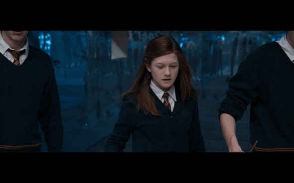 Harry Potter and the Order of the Phoenix - 897