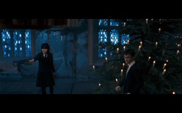 Harry Potter and the Order of the Phoenix - 902