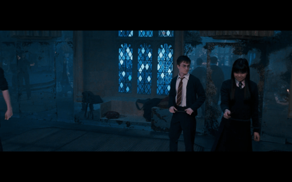 Harry Potter and the Order of the Phoenix - 904