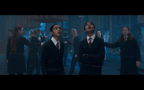 Harry Potter and the Order of the Phoenix - 907