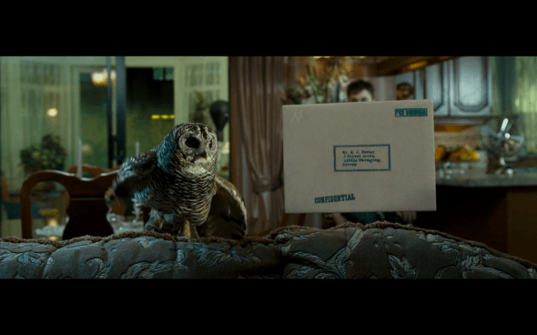 Harry Potter and the Order of the Phoenix - 95