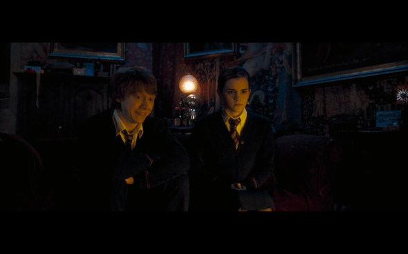 Harry Potter and the Order of the Phoenix - 956