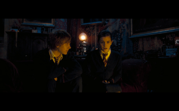 Harry Potter and the Order of the Phoenix - 958