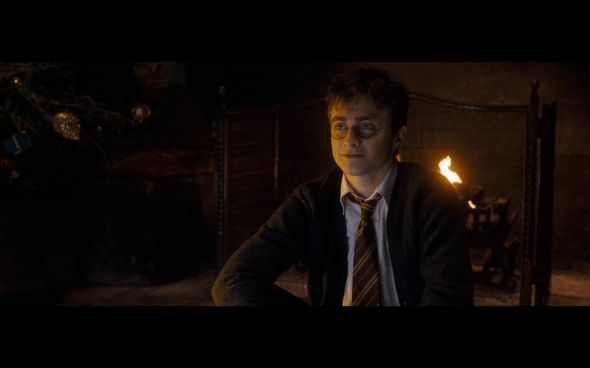 Harry Potter and the Order of the Phoenix - 959