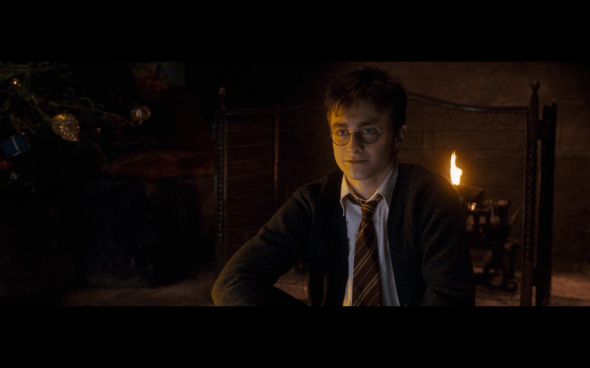 Harry Potter and the Order of the Phoenix - 960