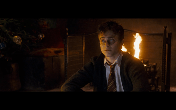 Harry Potter and the Order of the Phoenix - 963