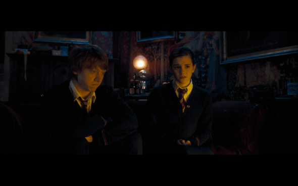 Harry Potter and the Order of the Phoenix - 965