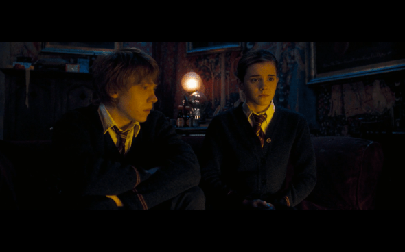 Harry Potter and the Order of the Phoenix - 969