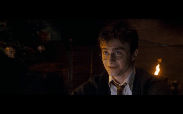 Harry Potter and the Order of the Phoenix - 979