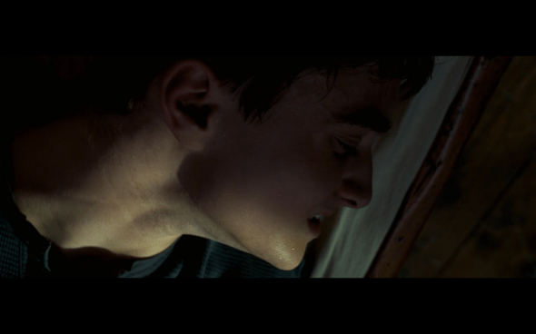 Harry Potter and the Order of the Phoenix - 987