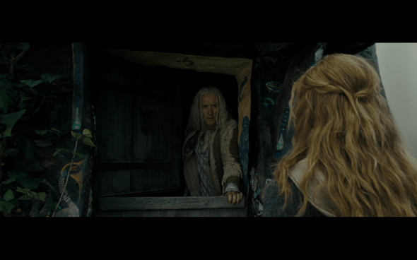 Harry Potter and the Deathly Hallows Part 1 - 1001