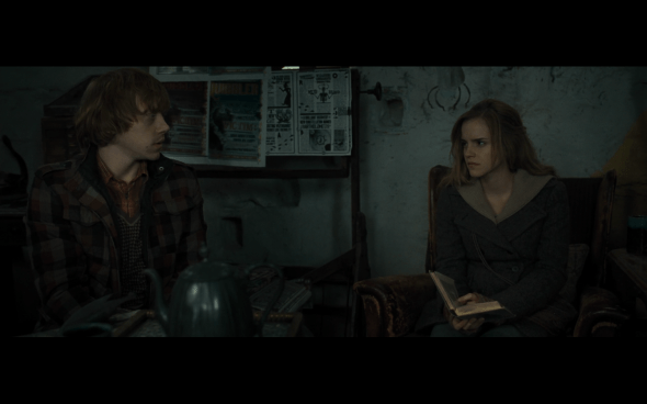 Harry Potter and the Deathly Hallows Part 1 - 1012