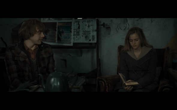 Harry Potter and the Deathly Hallows Part 1 - 1013