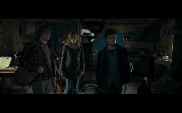 Harry Potter and the Deathly Hallows Part 1 - 1087