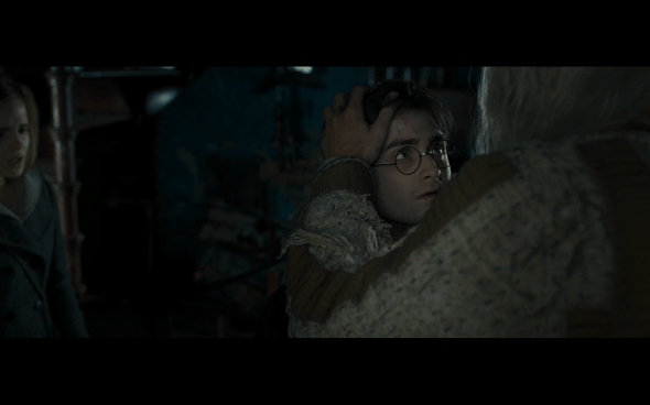 Harry Potter and the Deathly Hallows Part 1 - 1089