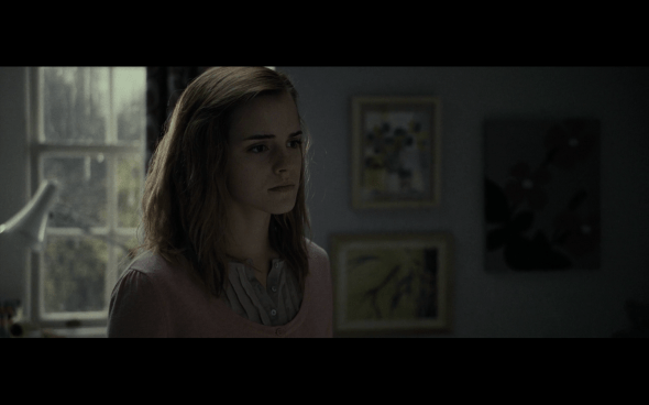 Harry Potter and the Deathly Hallows Part 1 - 11