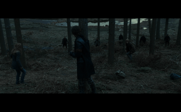 Harry Potter and the Deathly Hallows Part 1 - 1105