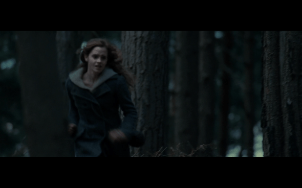 Harry Potter and the Deathly Hallows Part 1 - 1107