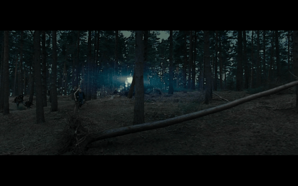 Harry Potter and the Deathly Hallows Part 1 - 1109