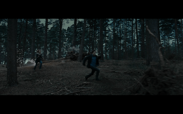 Harry Potter and the Deathly Hallows Part 1 - 1110