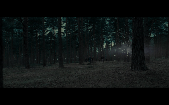 Harry Potter and the Deathly Hallows Part 1 - 1112