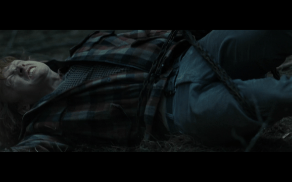 Harry Potter and the Deathly Hallows Part 1 - 1113