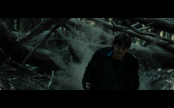 Harry Potter and the Deathly Hallows Part 1 - 1114