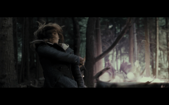 Harry Potter and the Deathly Hallows Part 1 - 1115