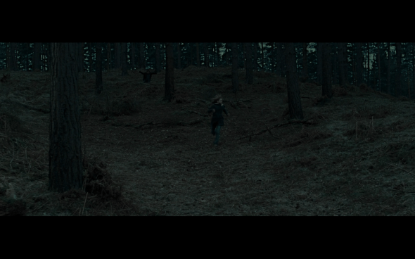 Harry Potter and the Deathly Hallows Part 1 - 1117