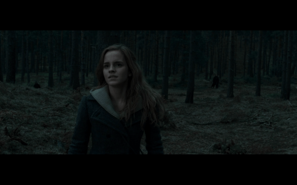 Harry Potter and the Deathly Hallows Part 1 - 1118