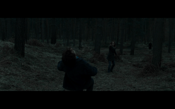 Harry Potter and the Deathly Hallows Part 1 - 1120