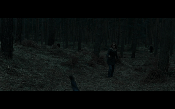 Harry Potter and the Deathly Hallows Part 1 - 1121