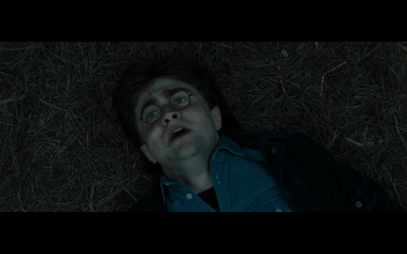 Harry Potter and the Deathly Hallows Part 1 - 1122