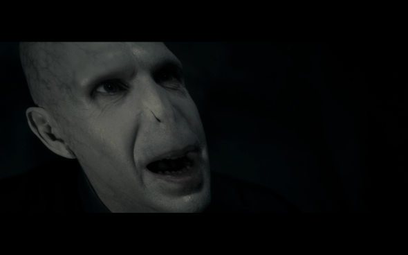 Harry Potter and the Deathly Hallows Part 1 - 1125