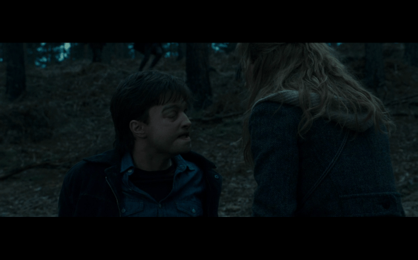 Harry Potter and the Deathly Hallows Part 1 - 1131