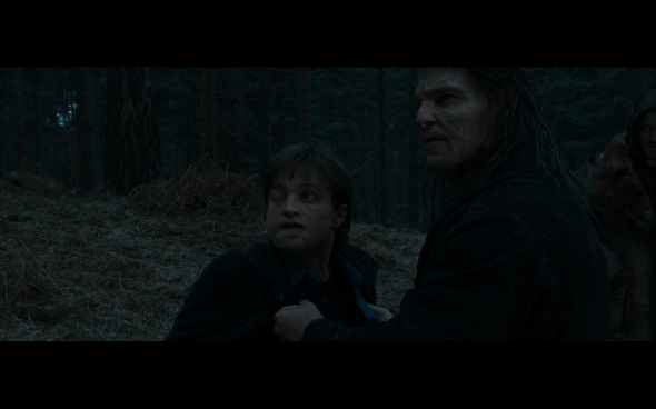 Harry Potter and the Deathly Hallows Part 1 - 1132