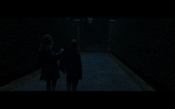 Harry Potter and the Deathly Hallows Part 1 - 1136