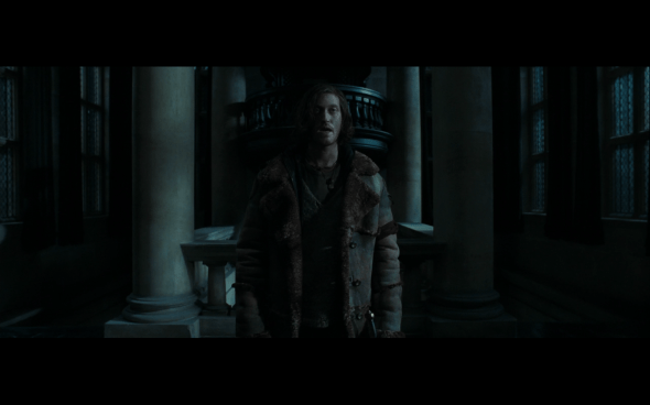 Harry Potter and the Deathly Hallows Part 1 - 1151