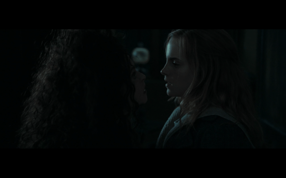 Harry Potter and the Deathly Hallows Part 1 - 1159