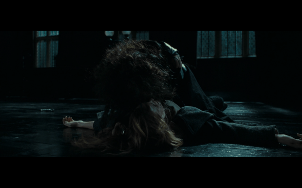 Harry Potter and the Deathly Hallows Part 1 - 1165