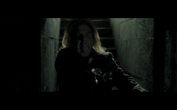 Harry Potter and the Deathly Hallows Part 1 - 1174