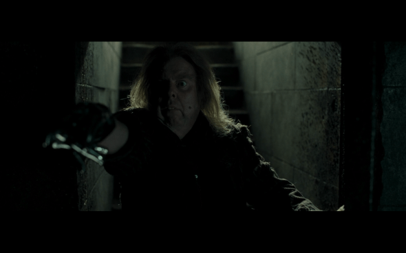 Harry Potter and the Deathly Hallows Part 1 - 1175