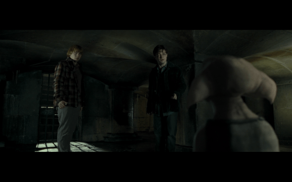 Harry Potter and the Deathly Hallows Part 1 - 1180