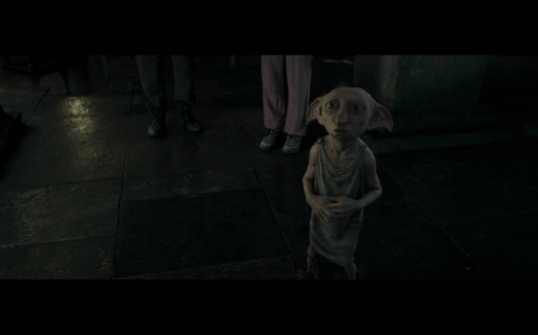 Harry Potter and the Deathly Hallows Part 1 - 1181