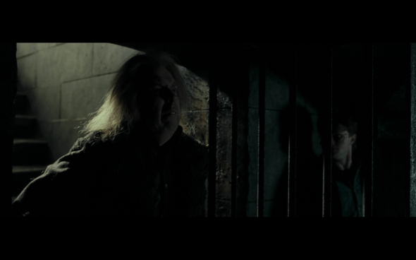 Harry Potter and the Deathly Hallows Part 1 - 1191