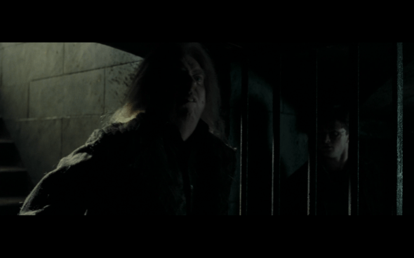 Harry Potter and the Deathly Hallows Part 1 - 1192