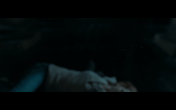 Harry Potter and the Deathly Hallows Part 1 - 1198